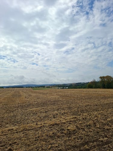 Keller Stausee und Osburger Wald