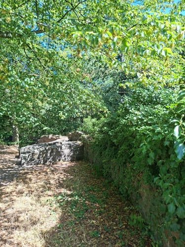 Jagdhaus Schellenberg - Baldeneysee - Baldeneyer Wald