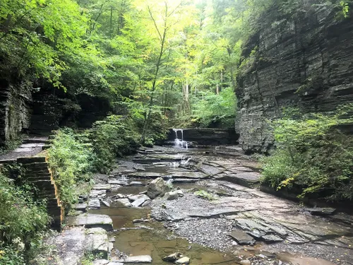 Best Hikes and Trails in Fillmore Glen State Park | AllTrails