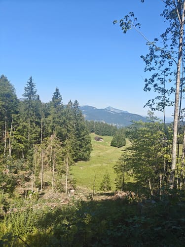 Seegatterl - Nattersbergalm - Hindenburghütte