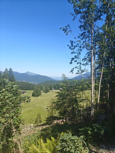 Seegatterl - Nattersbergalm - Hindenburghütte