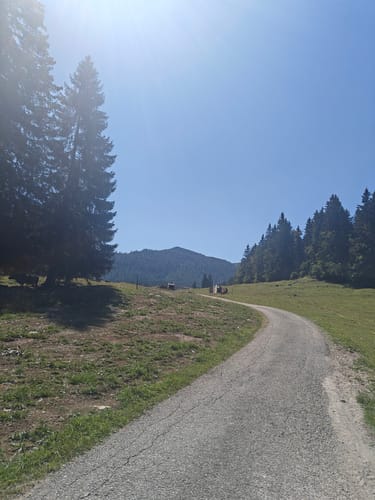 Seegatterl - Nattersbergalm - Hindenburghütte