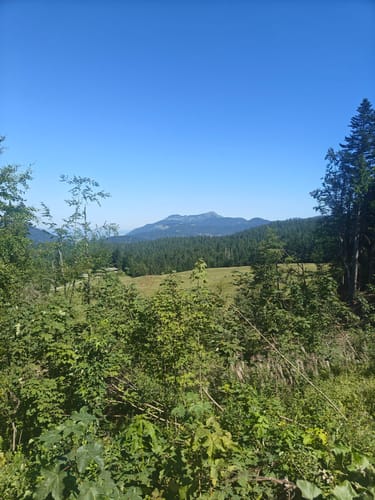 Seegatterl - Nattersbergalm - Hindenburghütte