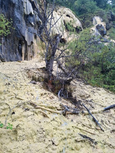 Wenn aus Wasser Steine werden – Quelltuff Lingenau