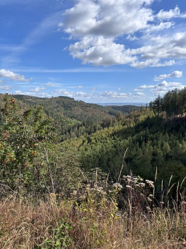 Steinerne Renne - Taufstein