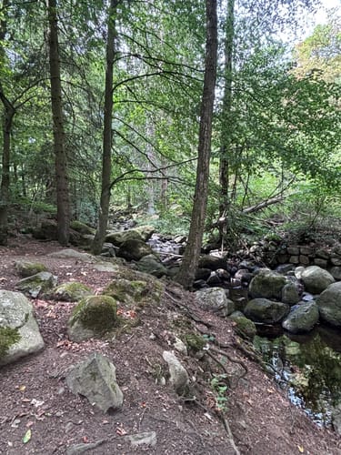 Steinerne Renne - Taufstein