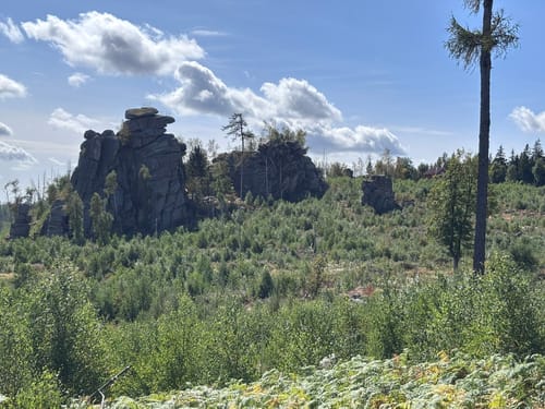 Steinerne Renne - Taufstein