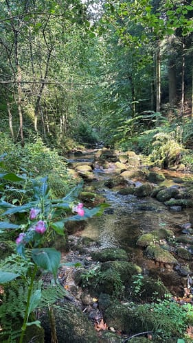 Maischbach - Geroldsauer Wasserfall