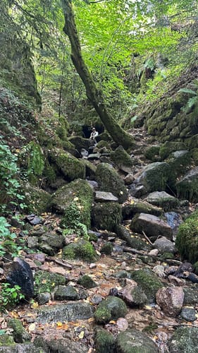 Maischbach - Geroldsauer Wasserfall