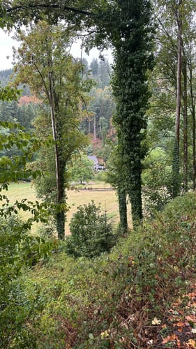 Maischbach - Geroldsauer Wasserfall