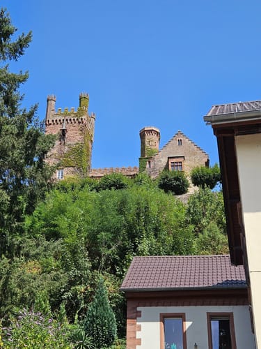 Neckarsteinach - Burg Schadeck [CLOSED]