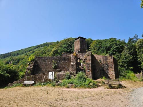 Neckarsteinach - Burg Schadeck [CLOSED]