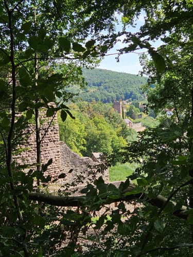Neckarsteinach - Burg Schadeck [CLOSED]