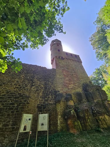 Neckarsteinach - Burg Schadeck [CLOSED]