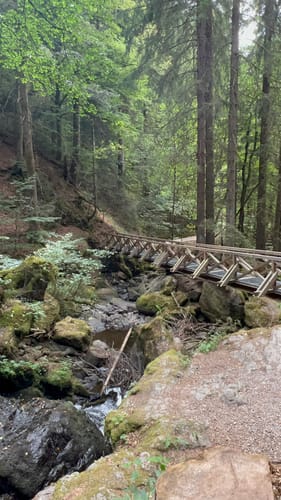 Der Ravennaschlucht Weg