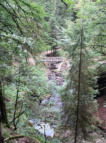 Der Ravennaschlucht Weg