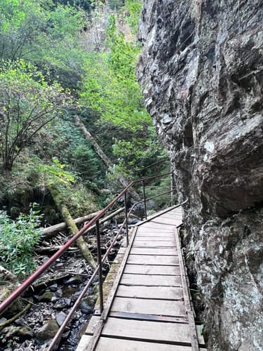 Der Ravennaschlucht Weg