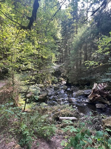 Der Ravennaschlucht Weg