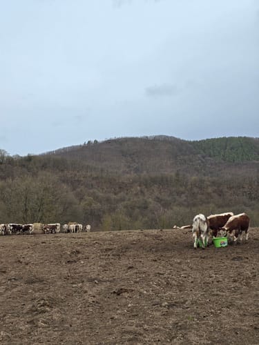 Felspassagen an der Rur
