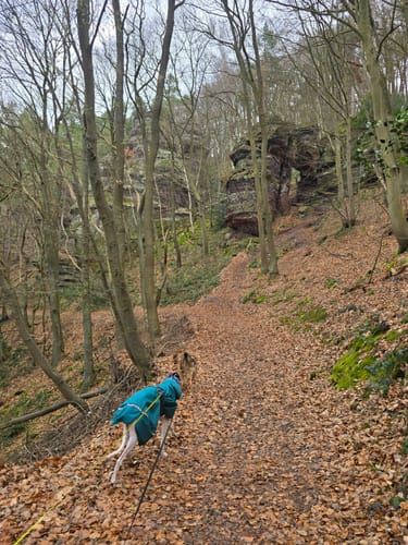 Felspassagen an der Rur