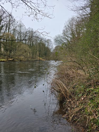 Felspassagen an der Rur