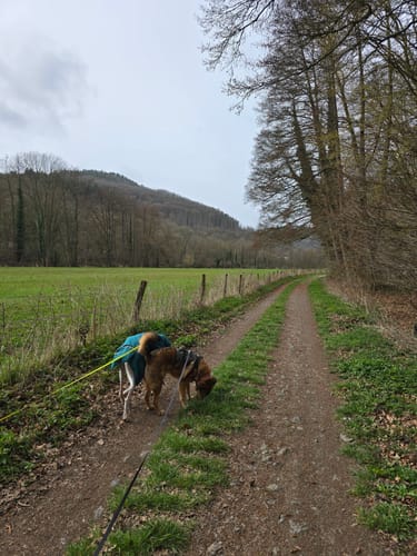 Felspassagen an der Rur