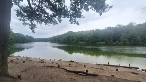 Krumme Lanke - Schlachtensee