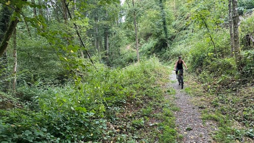 Scheuern - Lautenbach - Loffenau - Gernsbach Rundweg