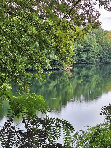 Oberwaldsee und Vogelsberger See