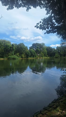Rund um den Tegeler See