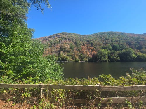Um das Staubecken in Heimbach