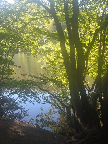 Um das Staubecken in Heimbach