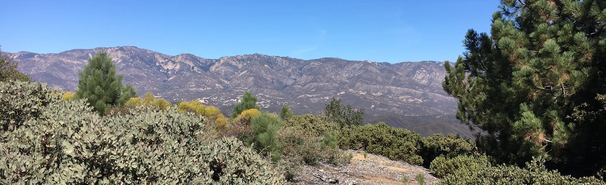 Howard Creek Trail, California 164 Reviews, Map AllTrails