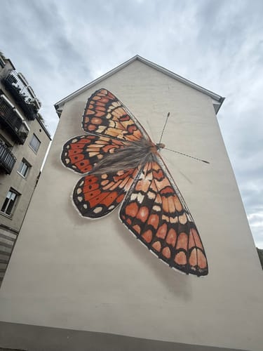 Philosophenweg Heidelberg