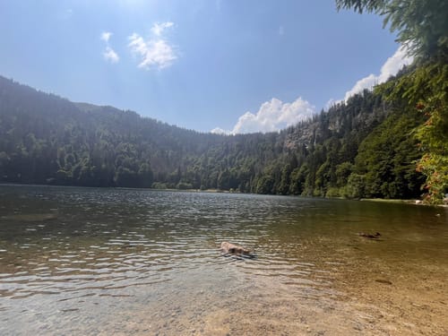 Feldbergsteig (Genießerpfad)