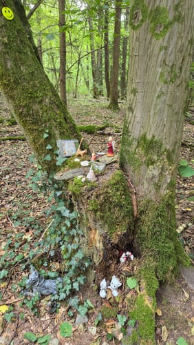 Wald- und Wiesenwanderung bei Loheland