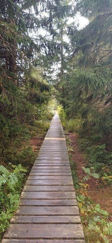 Blindenseerunde