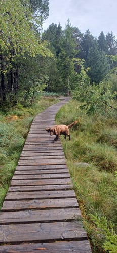 Blindenseerunde