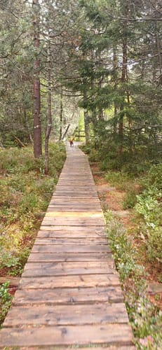 Blindenseerunde