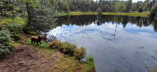 Blindenseerunde