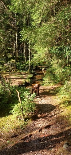 Blindenseerunde