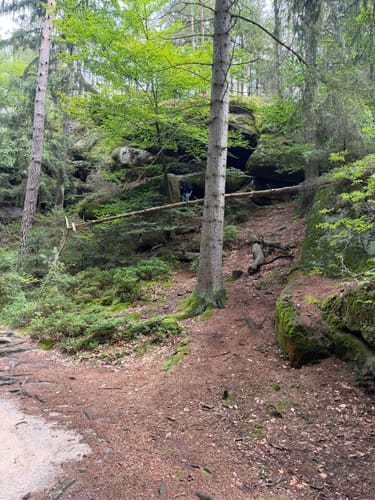 Schrammsteinrunde