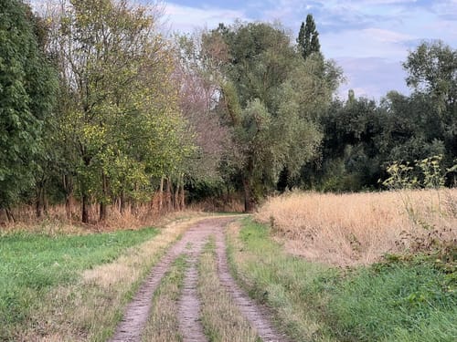 Nierst Rundweg A3