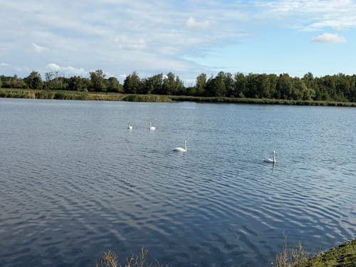 Lübeck: Runde im Schellbruch