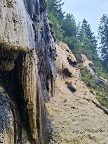 Wenn aus Wasser Steine werden – Quelltuff Lingenau
