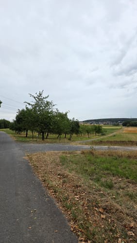 Wald- und Wiesenwanderung bei Loheland