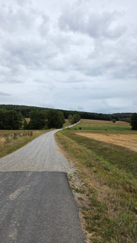 Wald- und Wiesenwanderung bei Loheland
