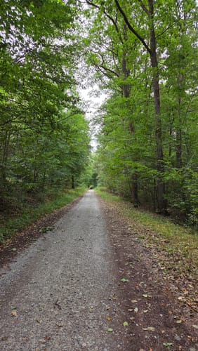 Wald- und Wiesenwanderung bei Loheland