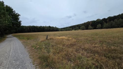 Wald- und Wiesenwanderung bei Loheland
