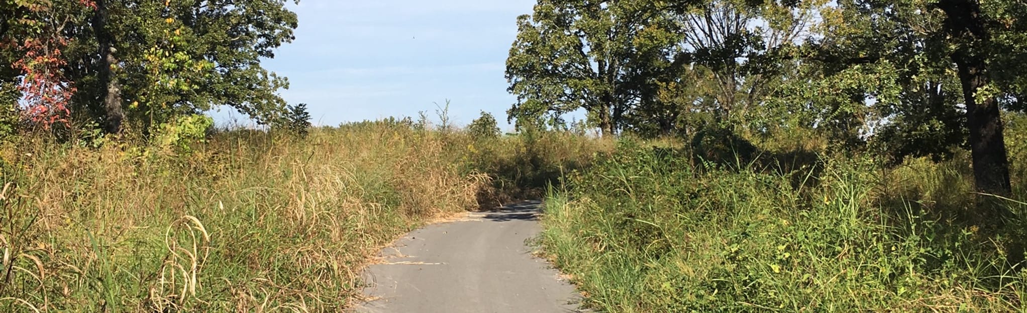 Wildlife Observation Trail 41 Reviews, Map Arkansas AllTrails
